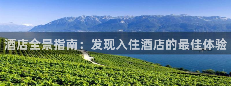 英国威廉希尔公司|酒店全景指南：发现入住酒店的最佳体验